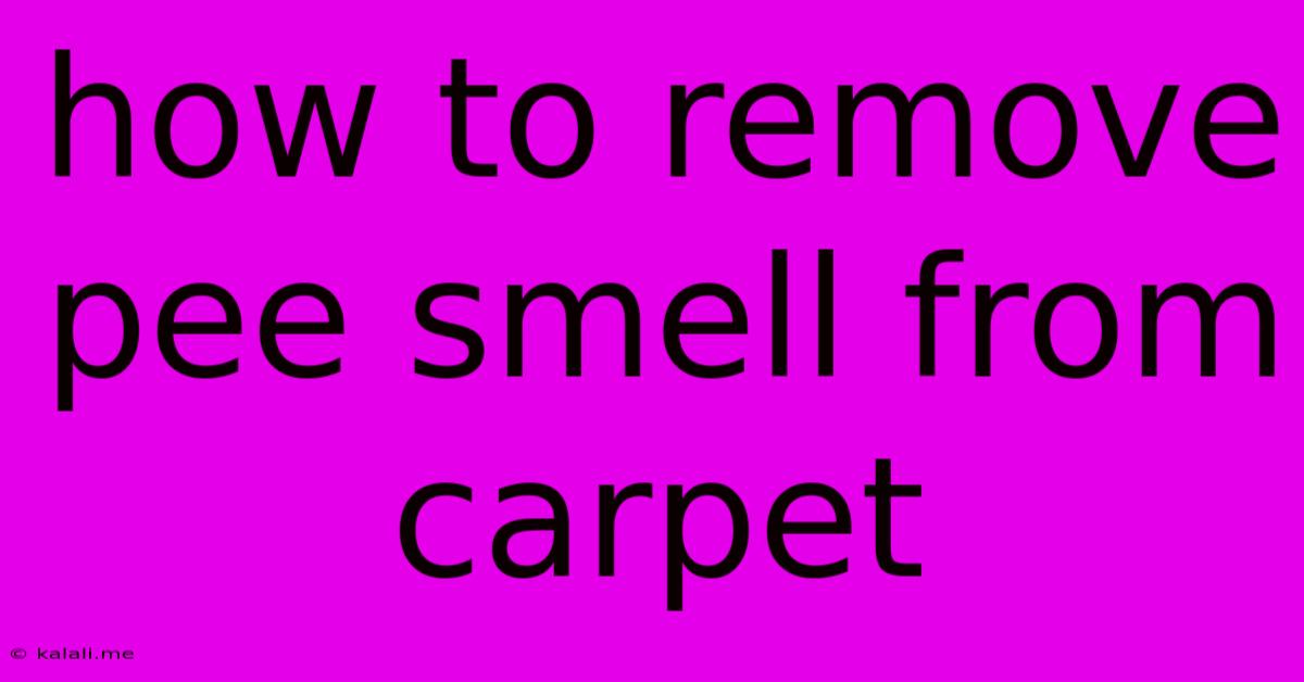How To Remove Pee Smell From Carpet