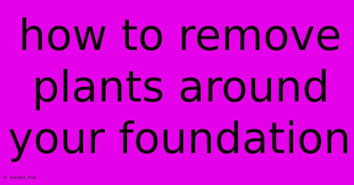 How To Remove Plants Around Your Foundation