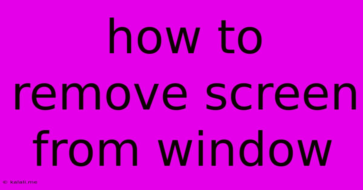 How To Remove Screen From Window