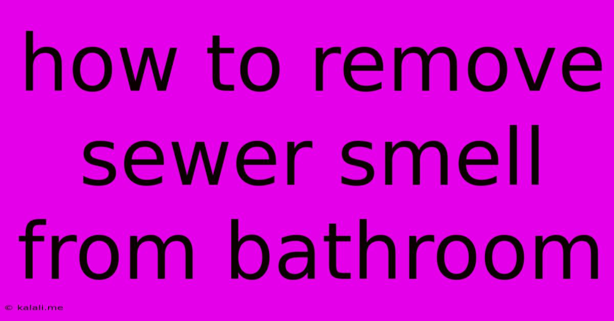 How To Remove Sewer Smell From Bathroom