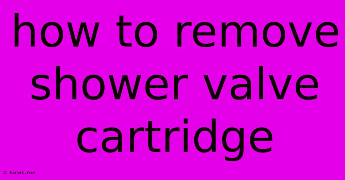 How To Remove Shower Valve Cartridge