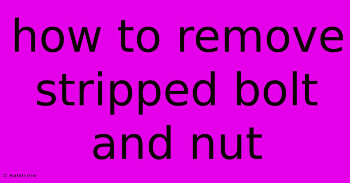 How To Remove Stripped Bolt And Nut