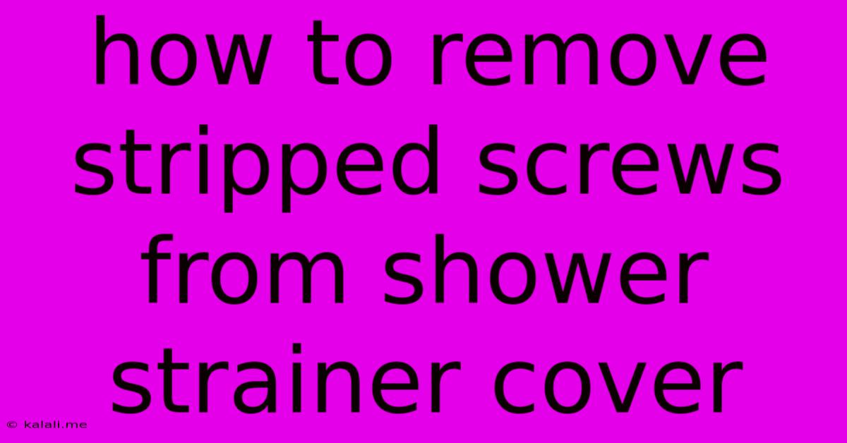 How To Remove Stripped Screws From Shower Strainer Cover