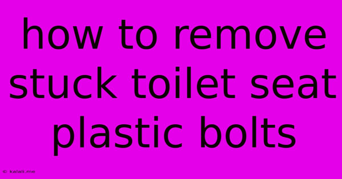 How To Remove Stuck Toilet Seat Plastic Bolts