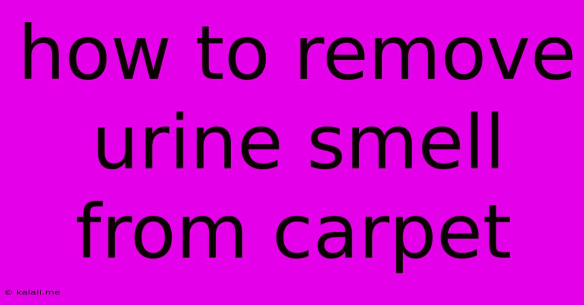 How To Remove Urine Smell From Carpet