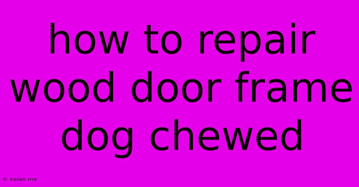How To Repair Wood Door Frame Dog Chewed