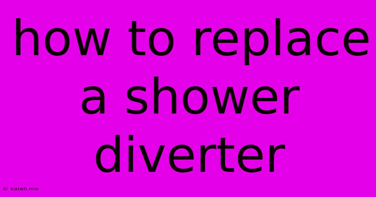 How To Replace A Shower Diverter