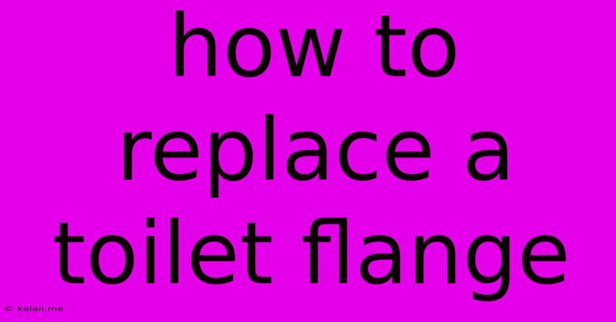 How To Replace A Toilet Flange