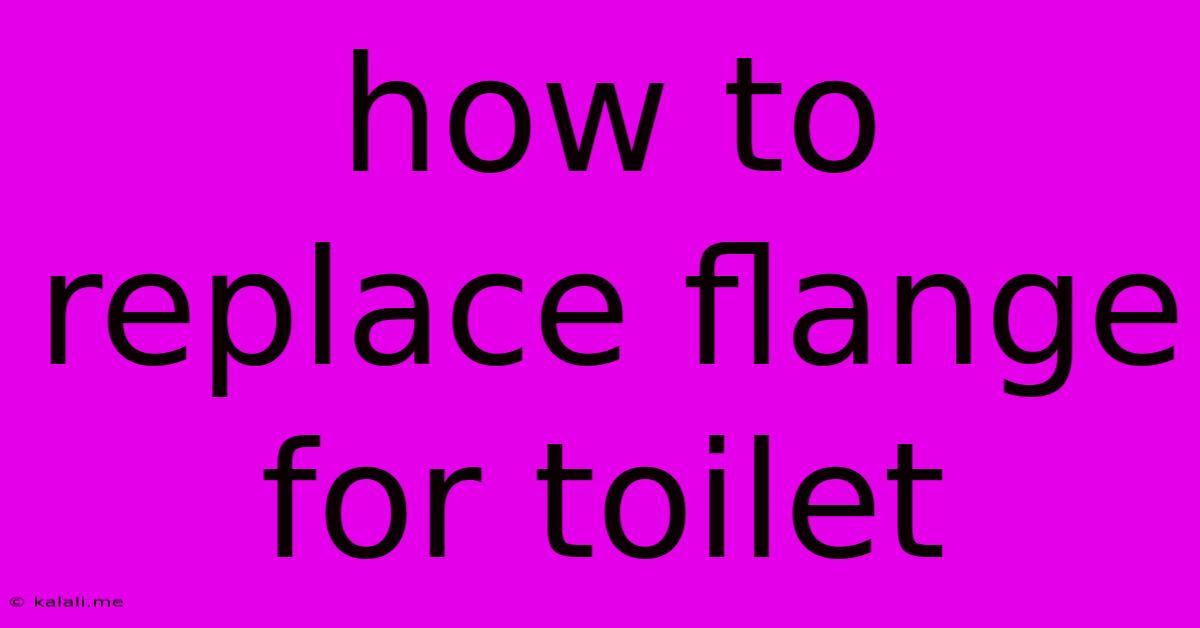 How To Replace Flange For Toilet