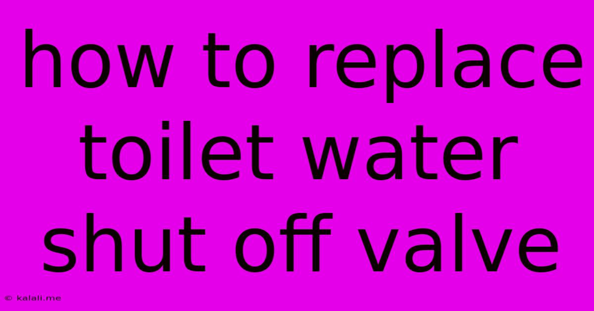 How To Replace Toilet Water Shut Off Valve