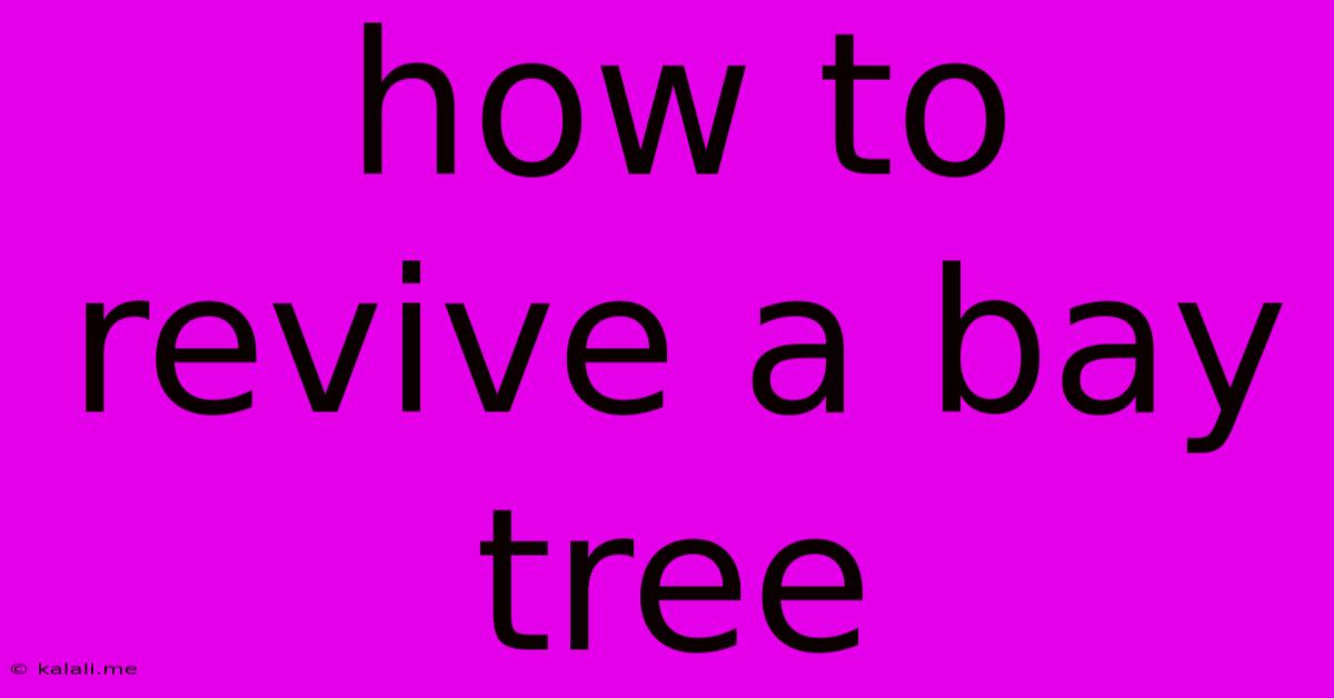 How To Revive A Bay Tree