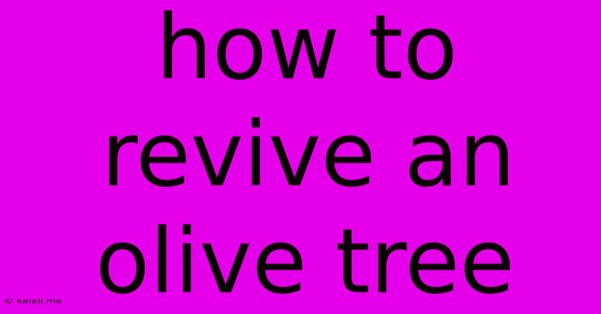 How To Revive An Olive Tree