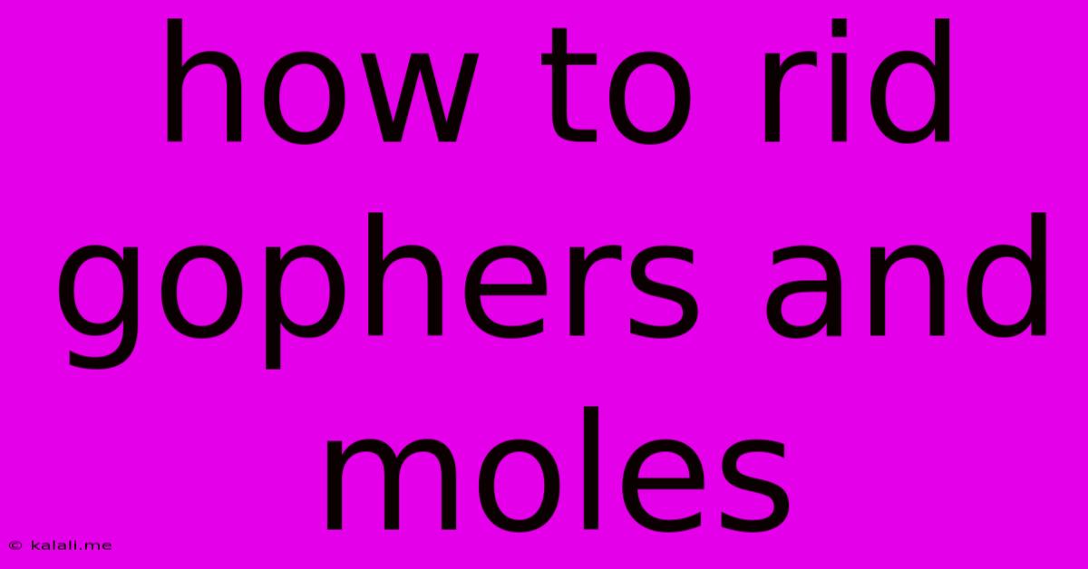 How To Rid Gophers And Moles