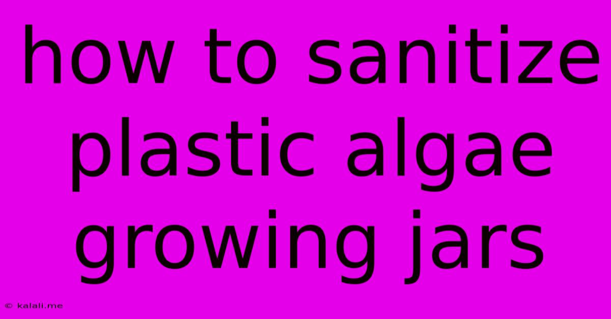 How To Sanitize Plastic Algae Growing Jars