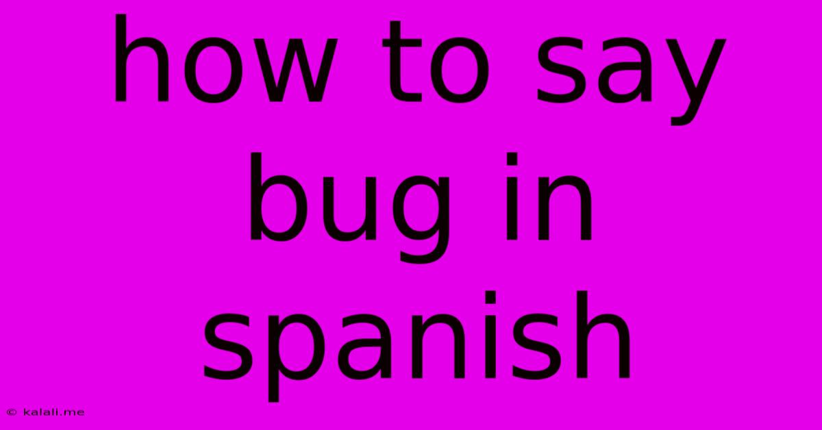 How To Say Bug In Spanish