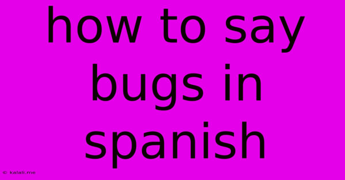 How To Say Bugs In Spanish