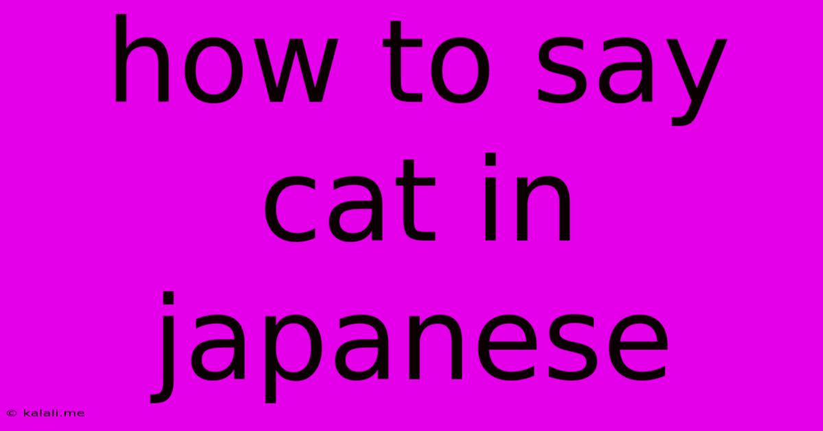 How To Say Cat In Japanese
