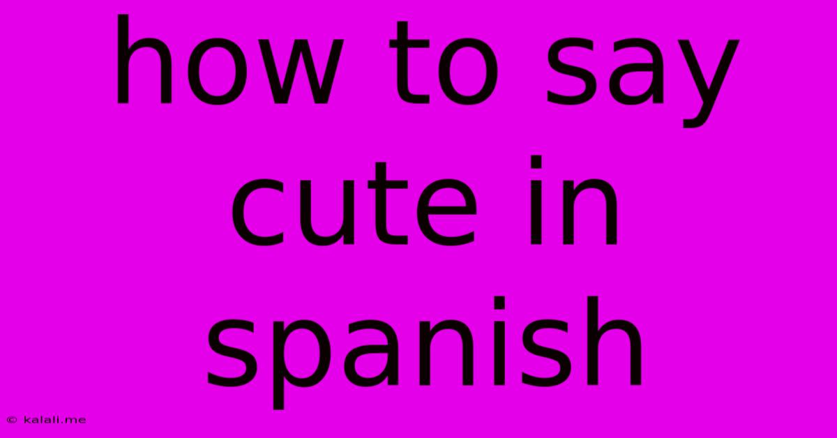 How To Say Cute In Spanish