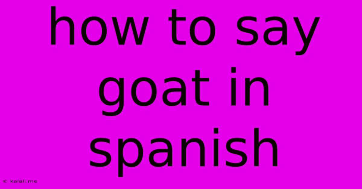 How To Say Goat In Spanish