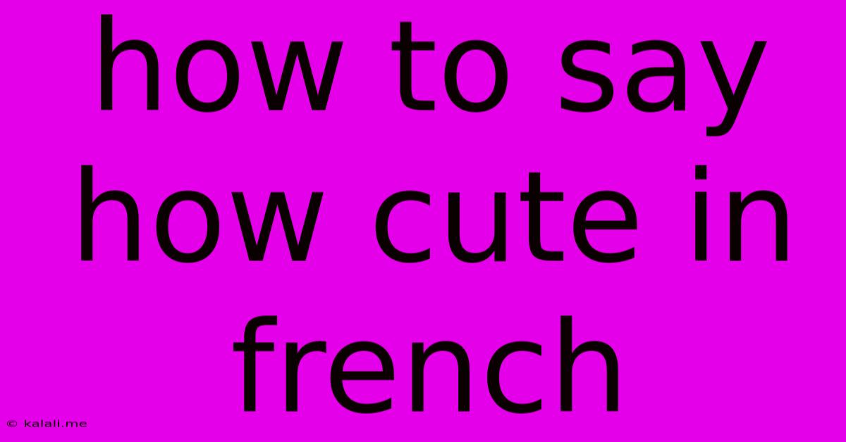 How To Say How Cute In French