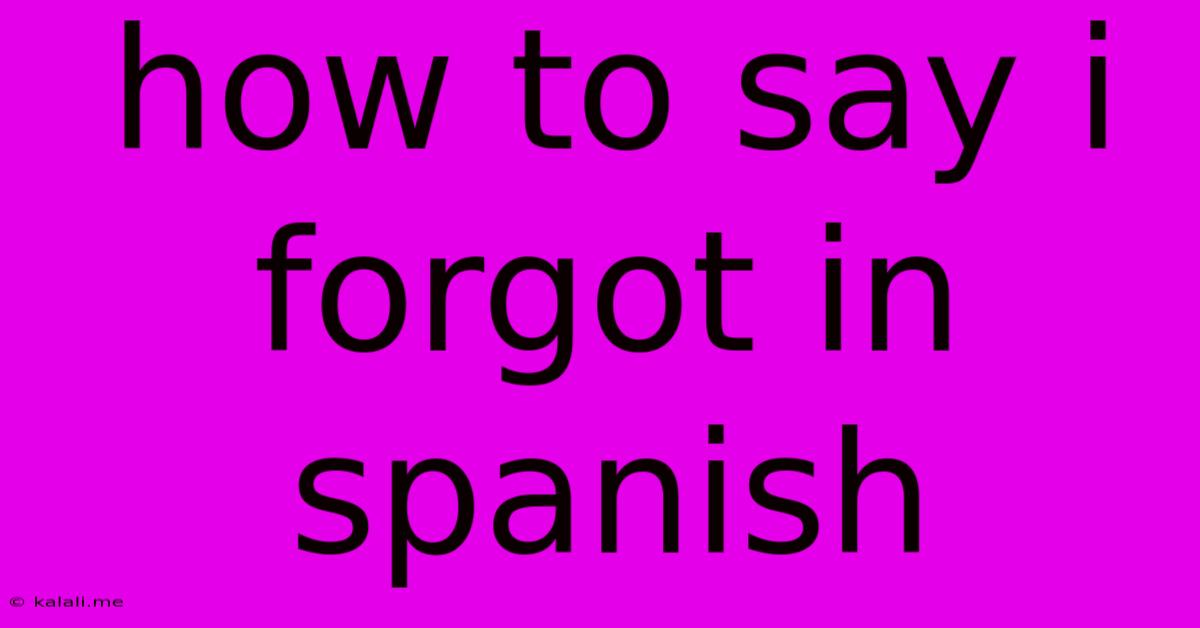 How To Say I Forgot In Spanish
