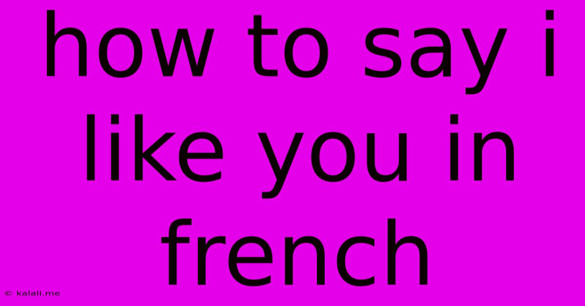 How To Say I Like You In French