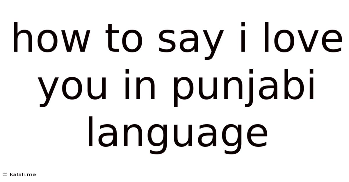 How To Say I Love You In Punjabi Language