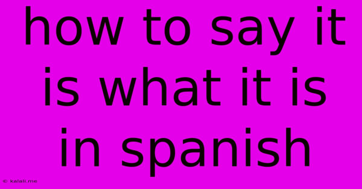 How To Say It Is What It Is In Spanish