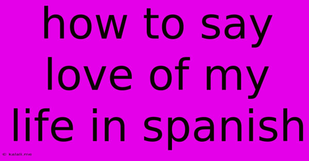How To Say Love Of My Life In Spanish
