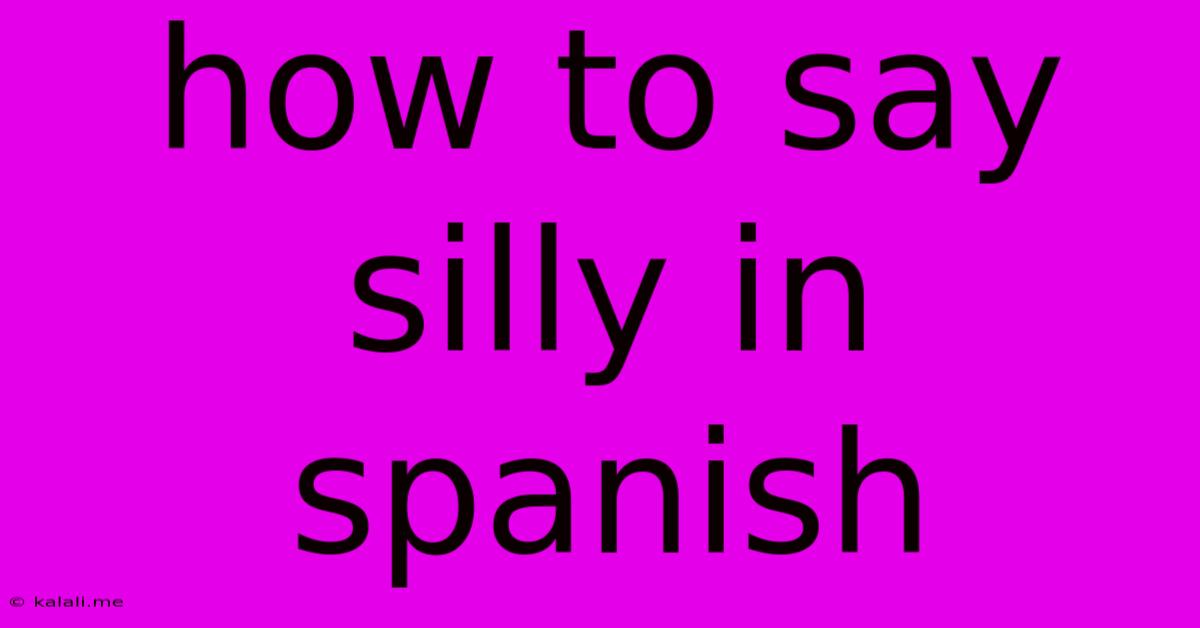 How To Say Silly In Spanish