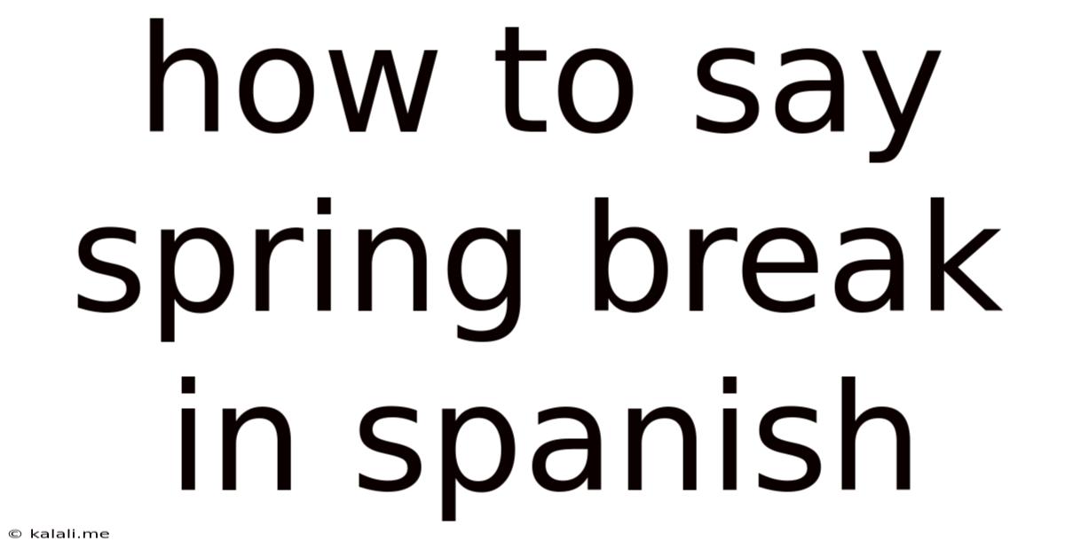 How To Say Spring Break In Spanish