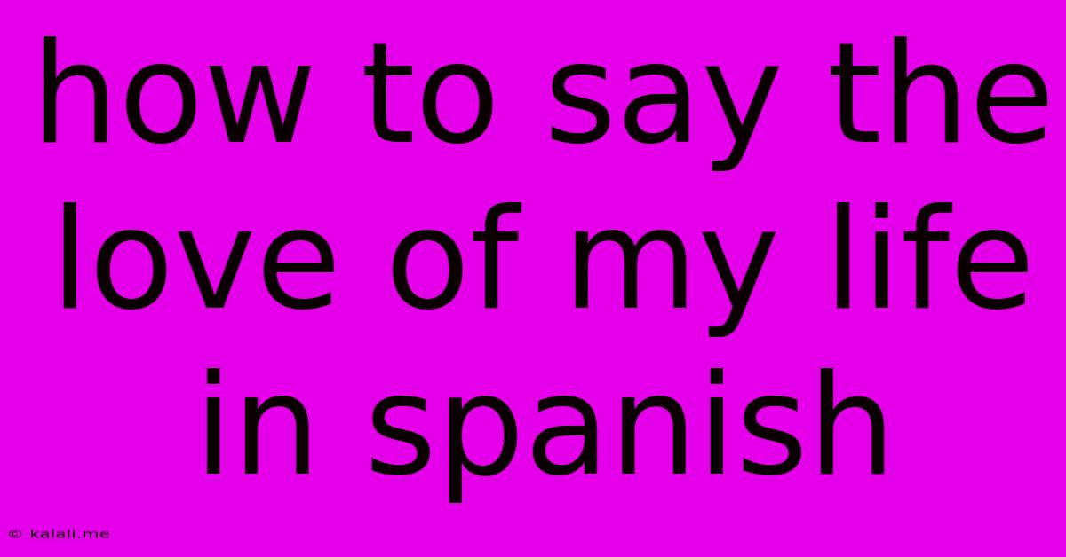 How To Say The Love Of My Life In Spanish