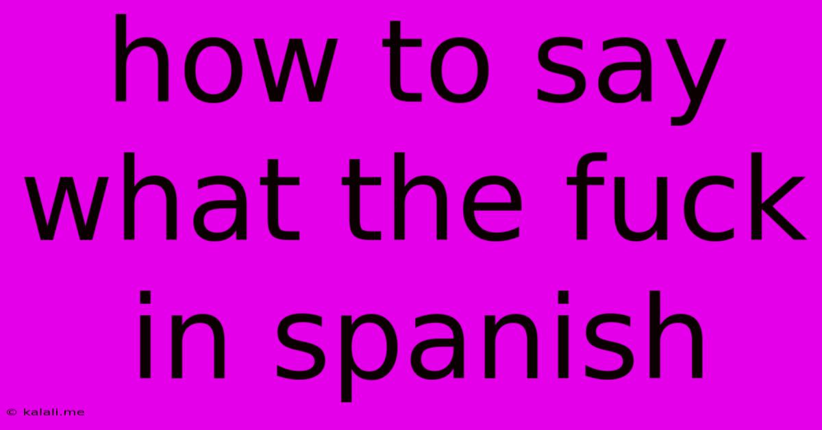 How To Say What The Fuck In Spanish