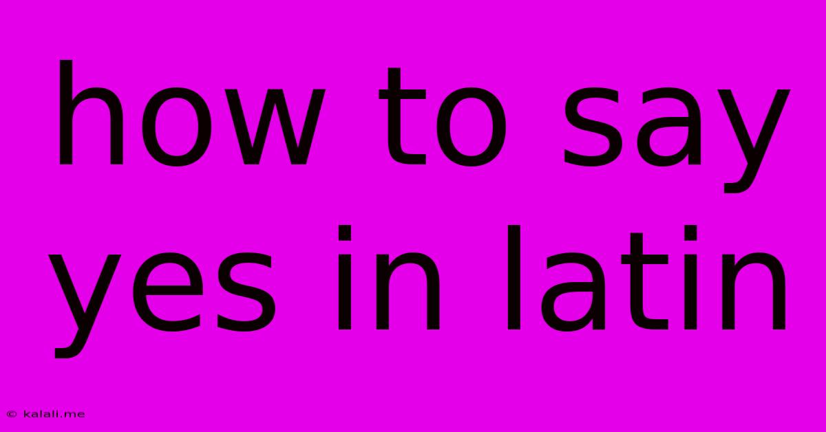 How To Say Yes In Latin