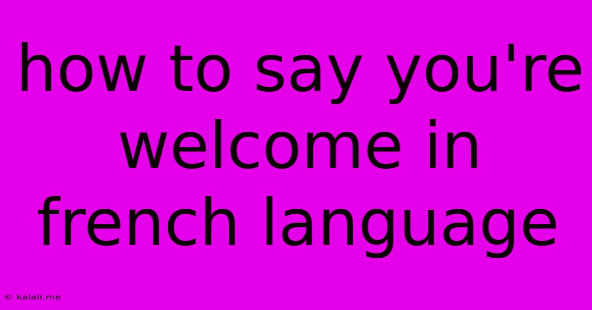 How To Say You're Welcome In French Language