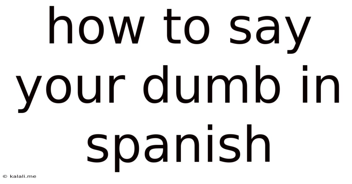 How To Say Your Dumb In Spanish
