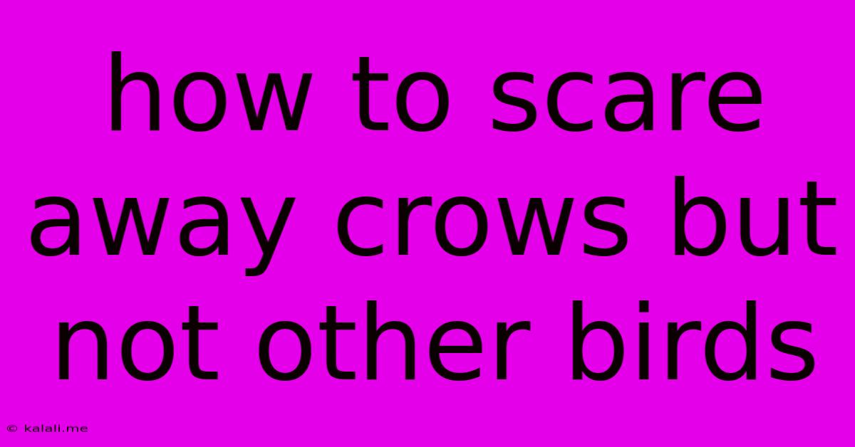 How To Scare Away Crows But Not Other Birds