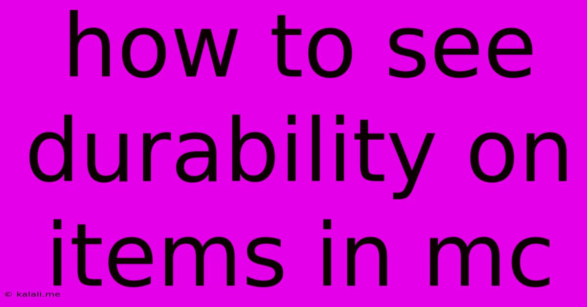 How To See Durability On Items In Mc