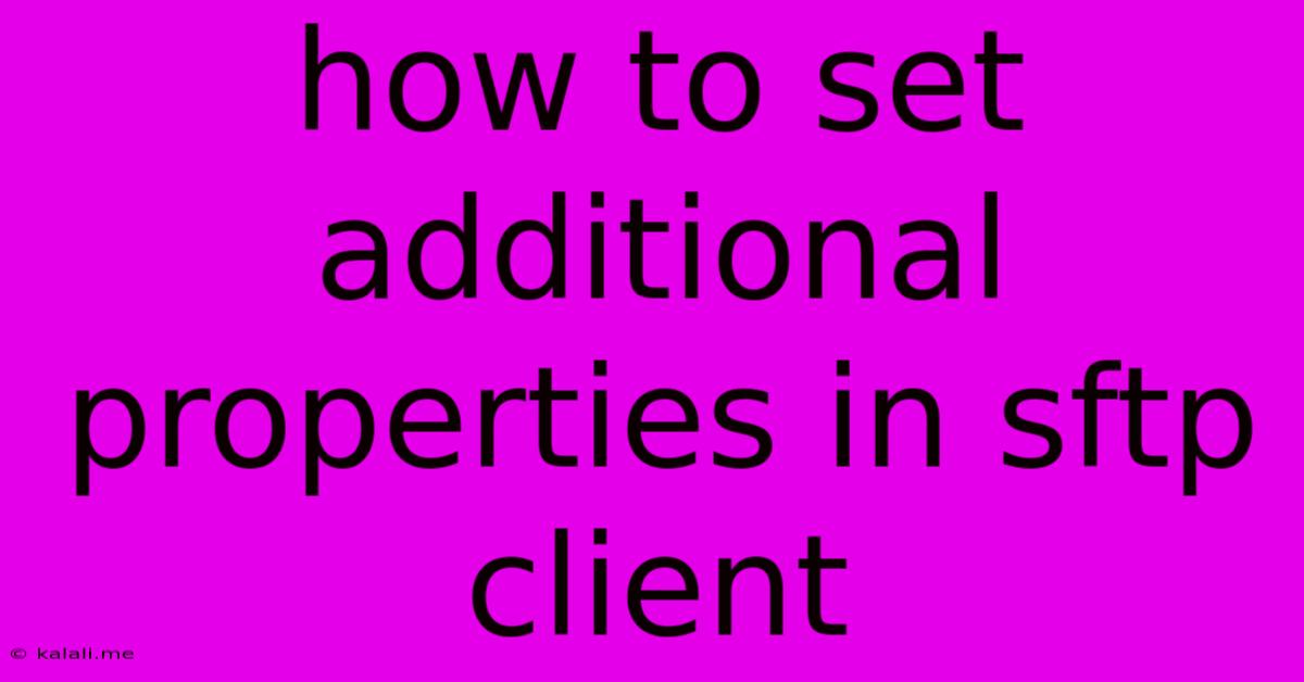 How To Set Additional Properties In Sftp Client