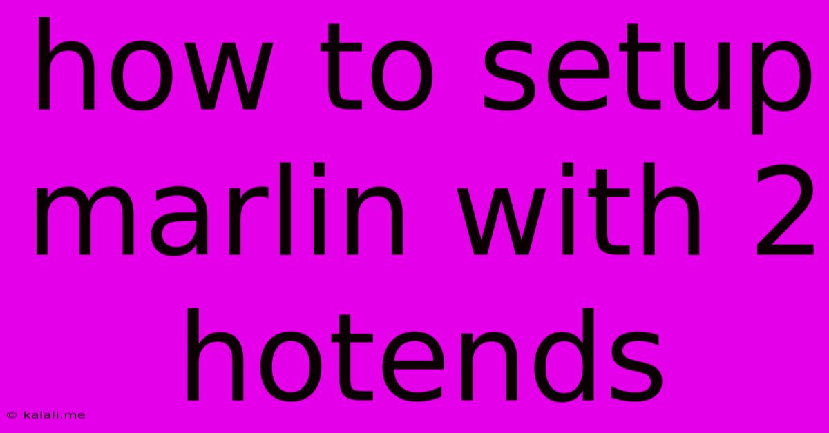 How To Setup Marlin With 2 Hotends
