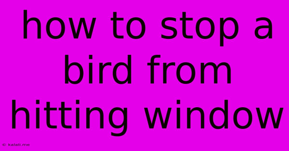 How To Stop A Bird From Hitting Window