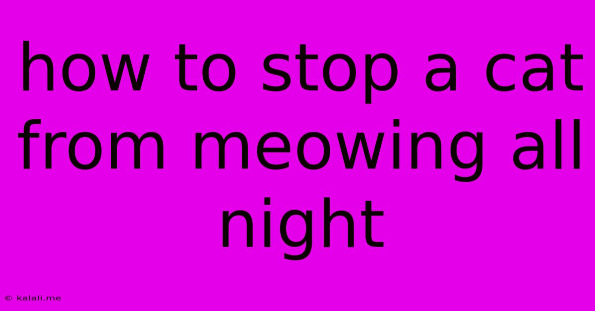 How To Stop A Cat From Meowing All Night