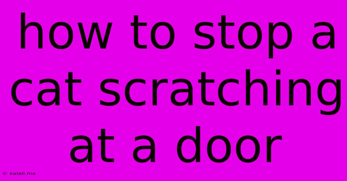 How To Stop A Cat Scratching At A Door