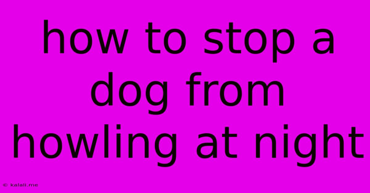 How To Stop A Dog From Howling At Night