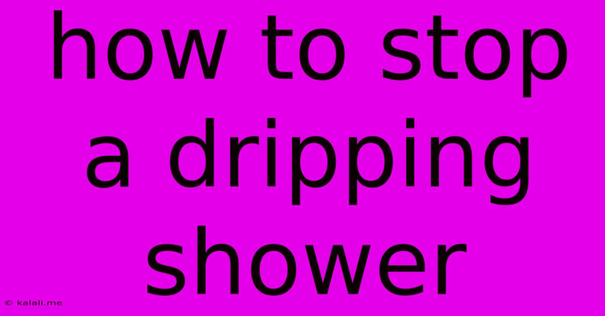How To Stop A Dripping Shower
