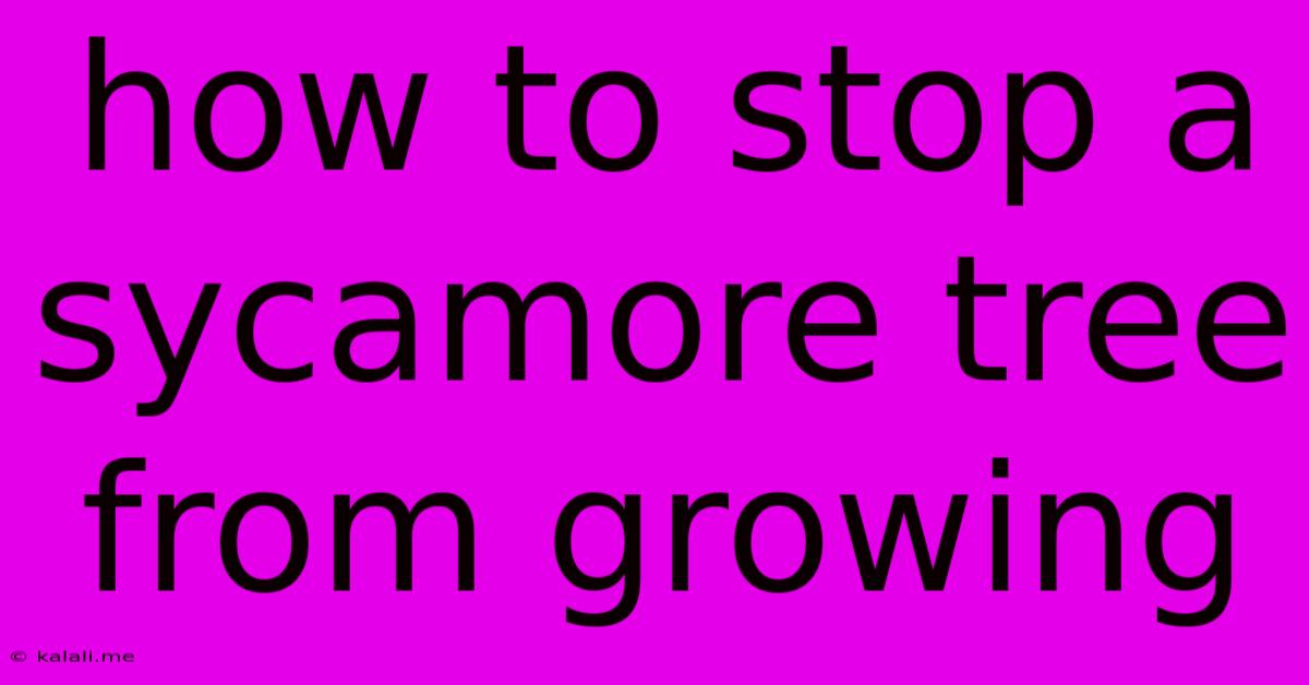 How To Stop A Sycamore Tree From Growing