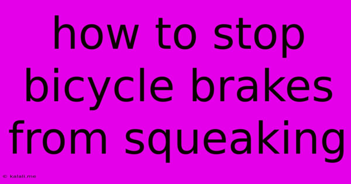 How To Stop Bicycle Brakes From Squeaking