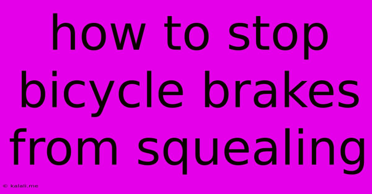 How To Stop Bicycle Brakes From Squealing