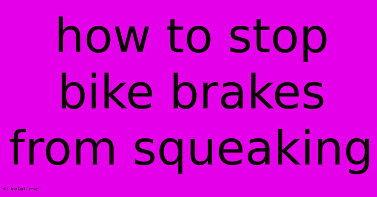 How To Stop Bike Brakes From Squeaking