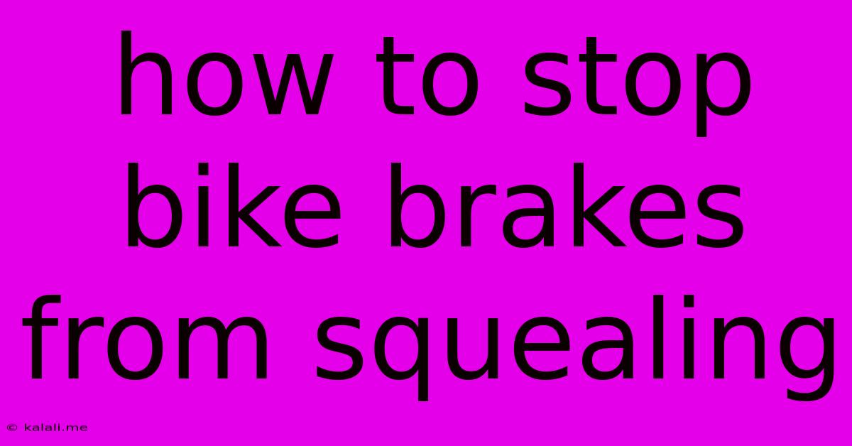 How To Stop Bike Brakes From Squealing